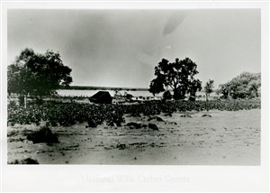 Image description is not available for PHO-4-W689-1065